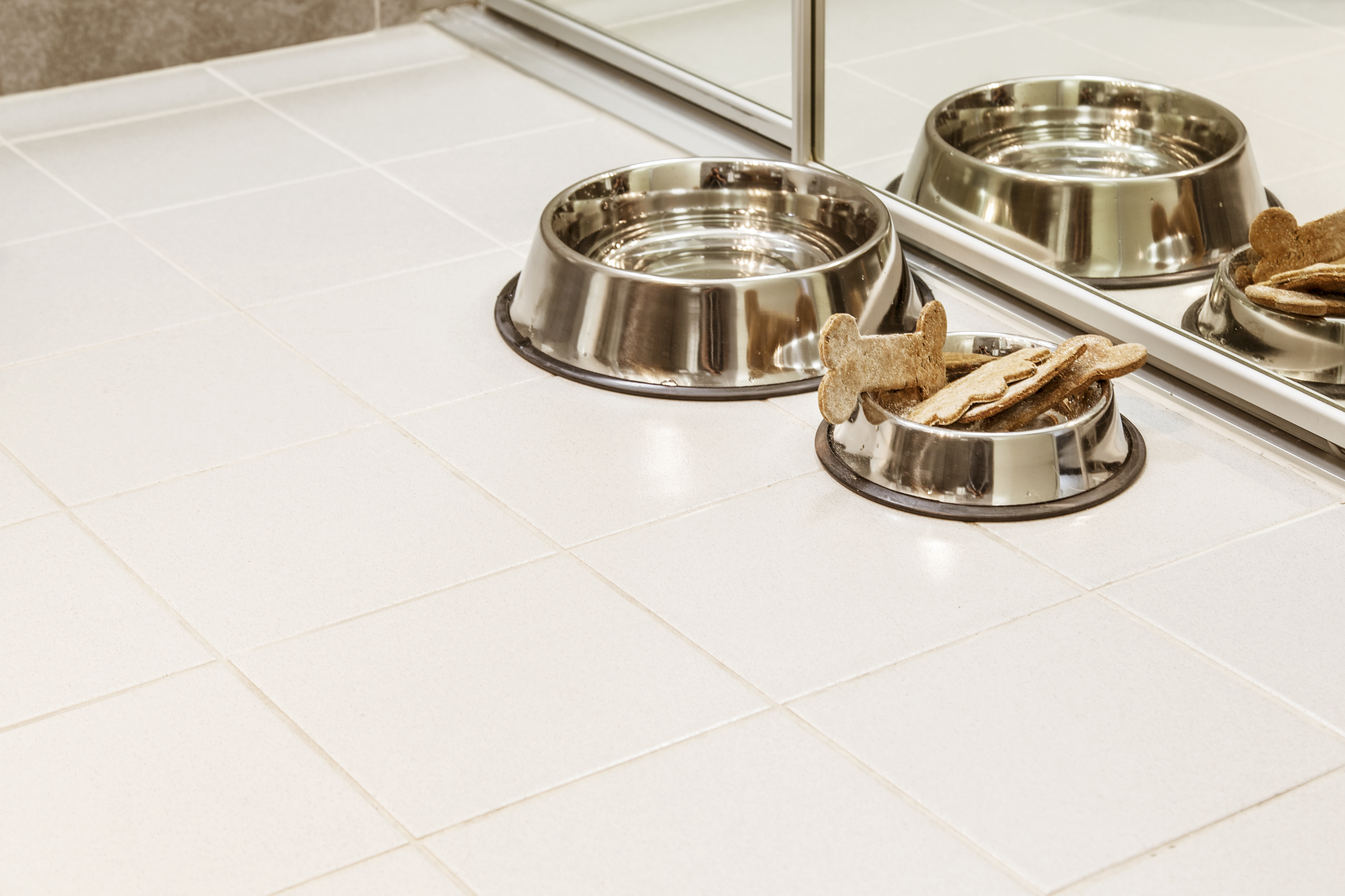 Pampered Pet Package JetPark Hotel Auckland