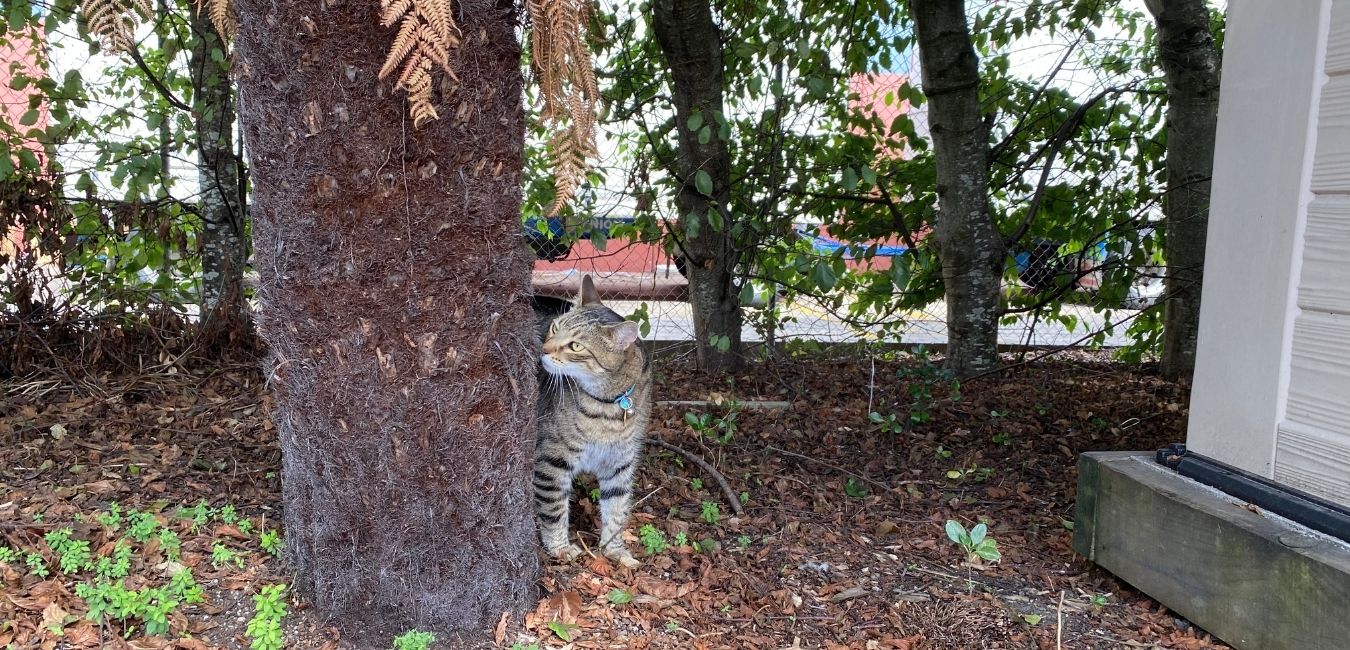 A Day in the Life of Jetson