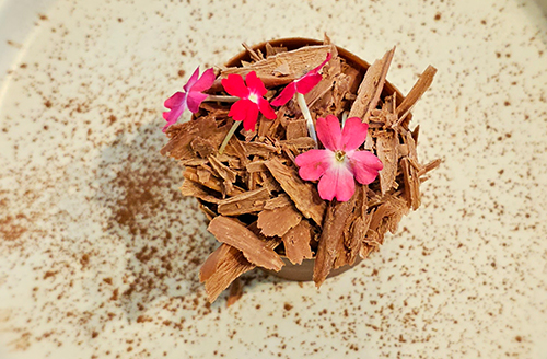 Auckland's Best Restaurant Flying Fish Mangere Auckland Airport