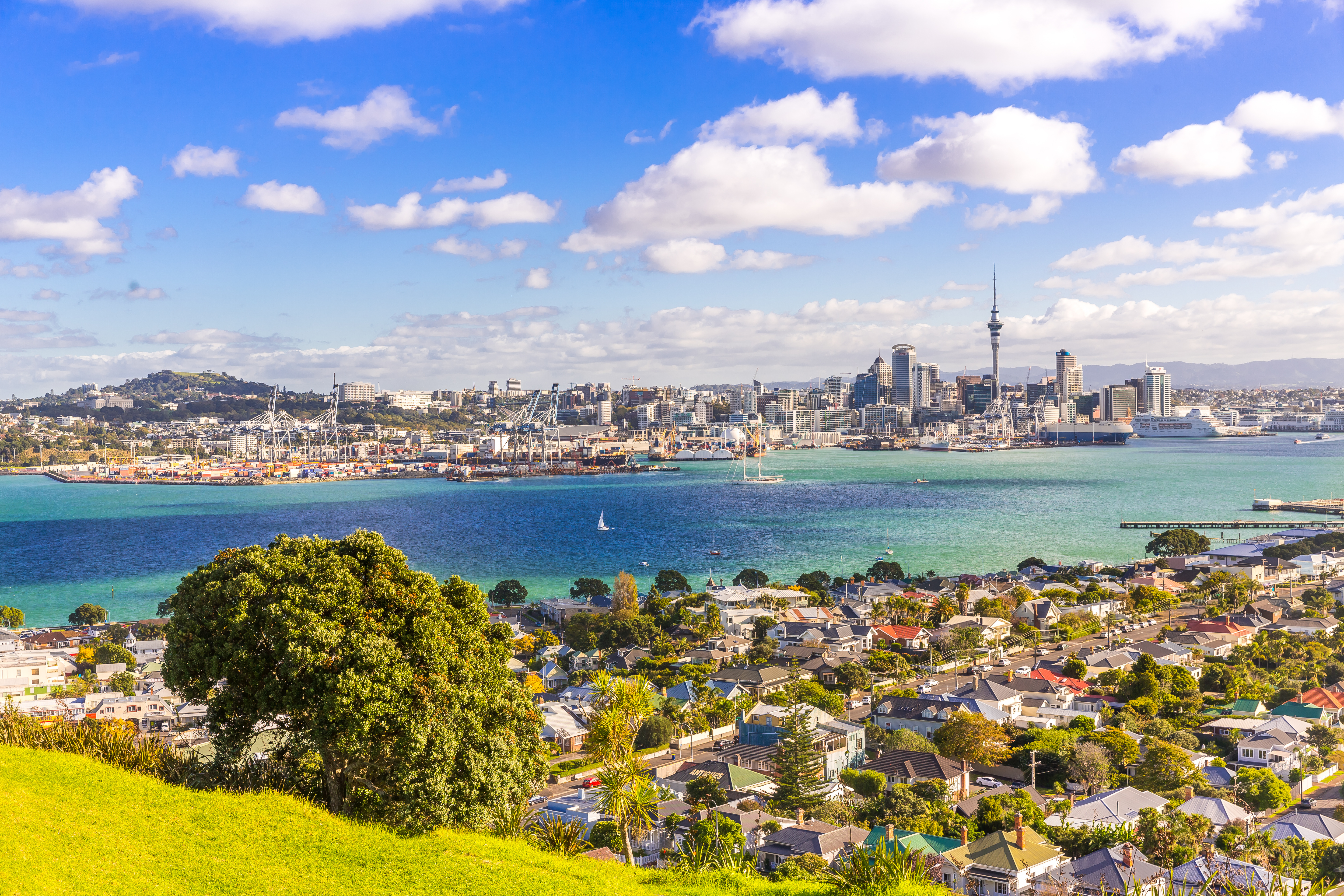 Things To Do in Auckland | Airport Local Attractions